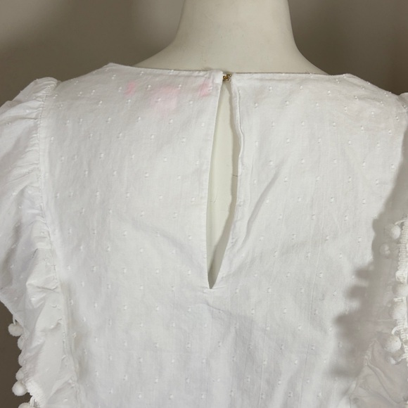 Lilly Pulitzer Raquelle Top Swiss Dot Dobby Chambray White Peplum Embroidered L - Picture 8 of 13